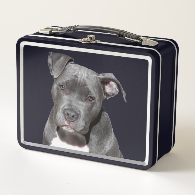 Lunch Box American Pit Bull Terrier (Devant)