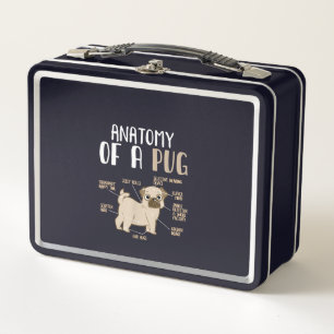 Lunch Box Anatomie D'Une race Carlin Chien Animaux De Compag
