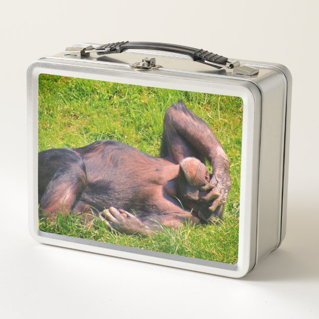 Lunch Box Animal drôle de chimpanzé (Devant)