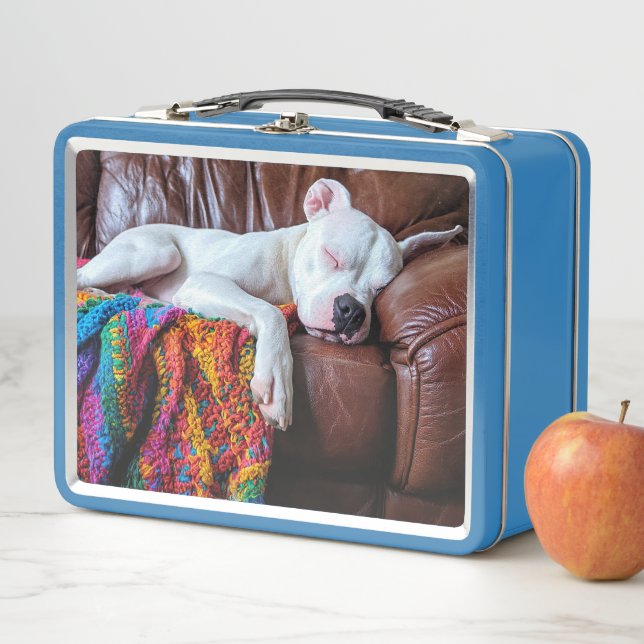 Lunch Box Animaux assis Business Dog Dormir sur le canapé (En situation)