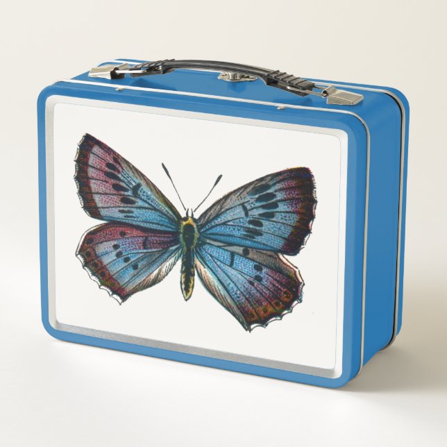 Lunch Box Arion glaucopsyche - Le Grand Papillon Bleu (Dos)