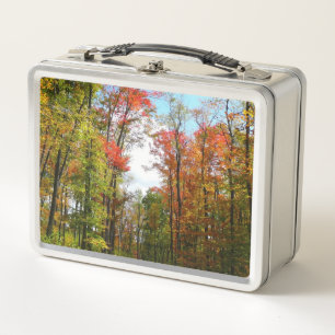 Lunch Box Automnes Arbres et Ciel bleu Automne Photographie 