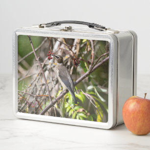 Lunch Box Avian Photography, Canadian Bohemian Waxwing