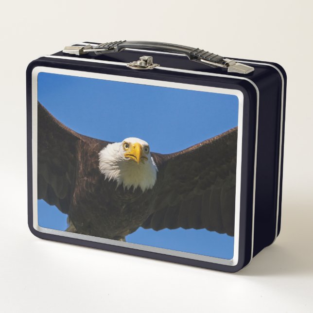 Lunch Box Bald Eagle Flyby Up Close (Devant)