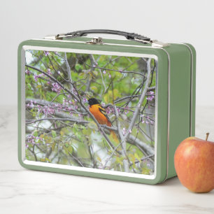 Lunch Box Baltimore Oriole