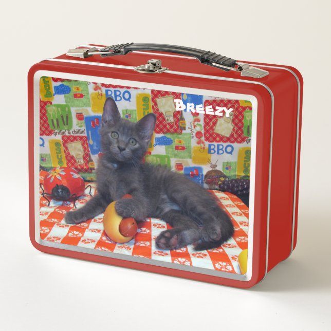 Lunch Box Barbecue Personnalisé Pour Chat / Biscuits (Devant)