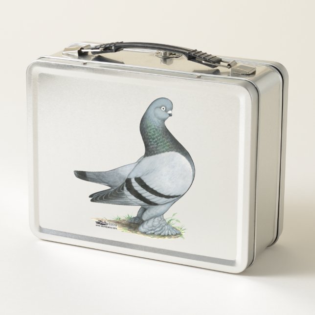 Lunch Box Barre Bleue Berliner Tumbler Pigeon (Dos)
