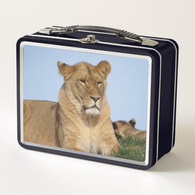 Lunch Box Beau Lion reposant dans la nature (Devant)