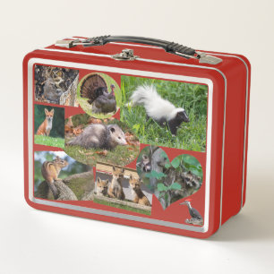 Lunch Box Beaux Animaux Pour Les Enfants