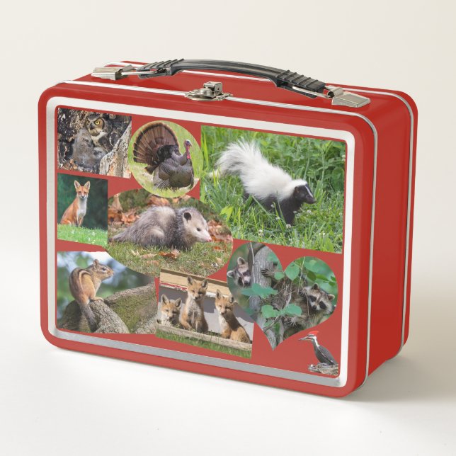 Lunch Box Beaux Animaux Pour Les Enfants (Devant)