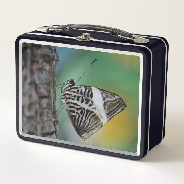 Lunch Box Belle Mosaïque Zèbre Papillon (Devant)