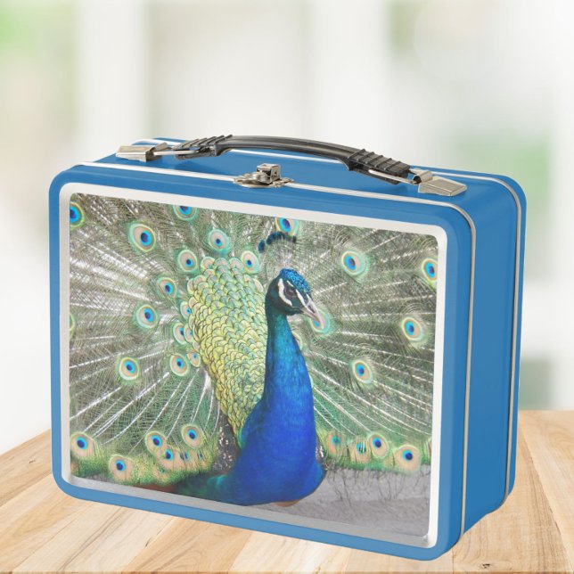 Lunch Box Belle photo Peacock Bleu (In Situ Table)
