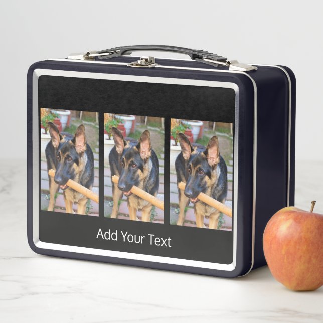 Lunch Box berger allemand par Shirley Taylor (En situation)