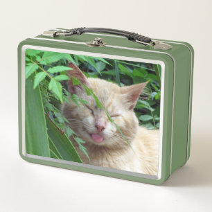 Lunch Box Bête le chat idiot errant