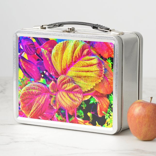 Lunch Box boîte à lunch (En situation)