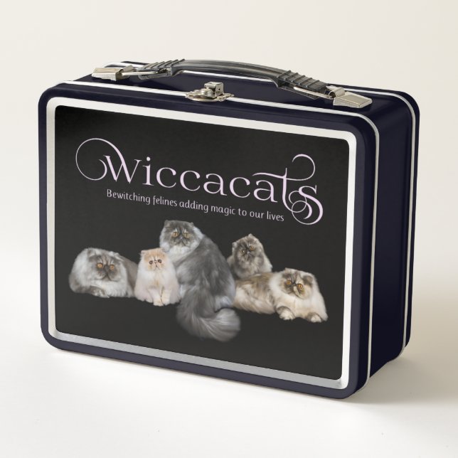 Lunch Box Boîte métallique WiccaCats (Devant)