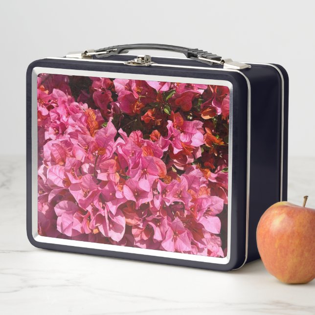 Lunch Box Bougainvillea Arbuste de vinification rose tropica (En situation)