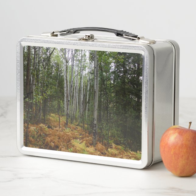 Lunch Box Bouleaux blancs et fougères d'automne dans les mon (En situation)