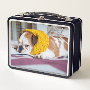 Lunch Box Bouledogue anglais des images   de Getty
