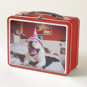 Lunch Box Bouledogue britannique des images de Getty