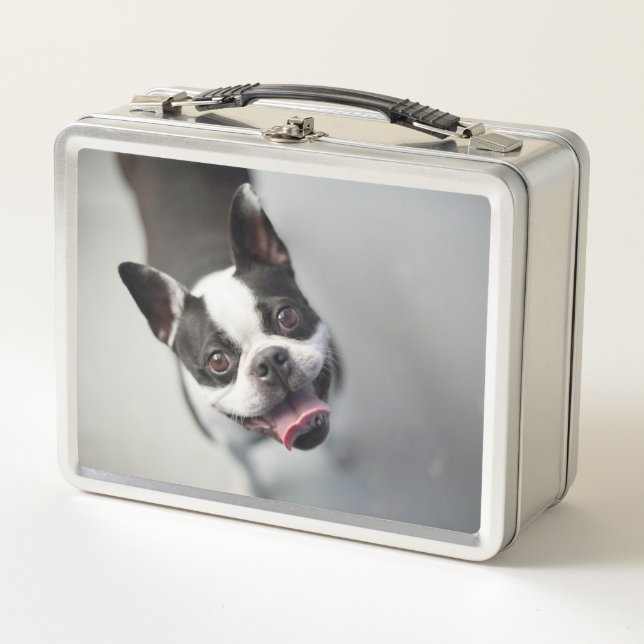 Lunch Box Bouledogue français des images | de Getty (Devant)