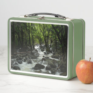 Lunch Box Bridalveil Creek dans le parc national de Yosemite