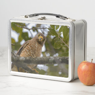 Lunch Box Buse à côté de la route, Photographie aviaire faun
