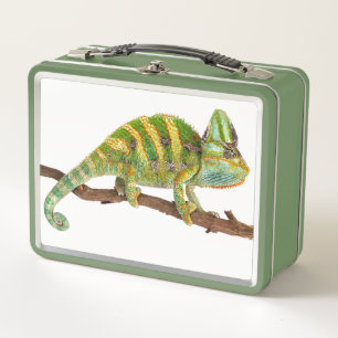 Lunch Box Caméléon