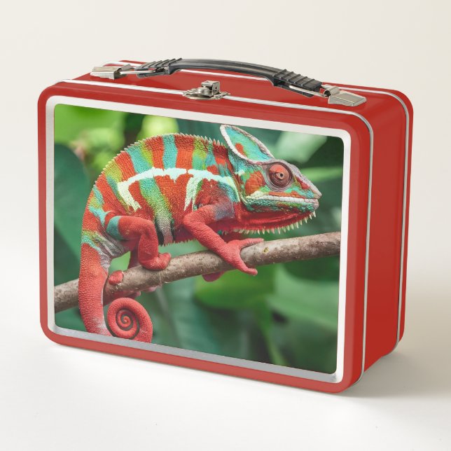 Lunch Box Caméléon  (Devant)