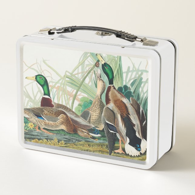 Lunch Box Canard colvert des oiseaux d'Amérique (Audubon) (Dos)