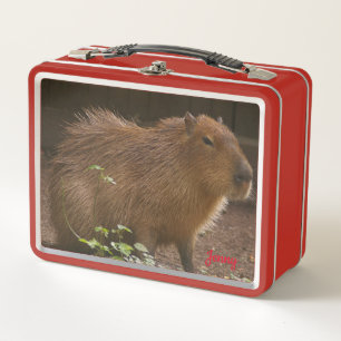 Lunch Box Capybara