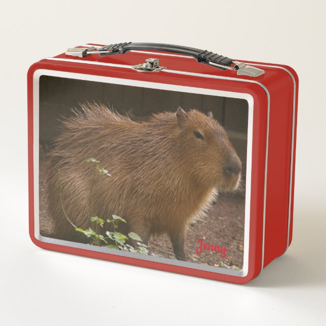 Lunch Box Capybara (Devant)