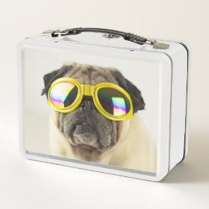 Lunch Box Carlin avec lunettes