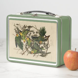 Lunch Box Carolina Parrot de Audubon's Birds of America