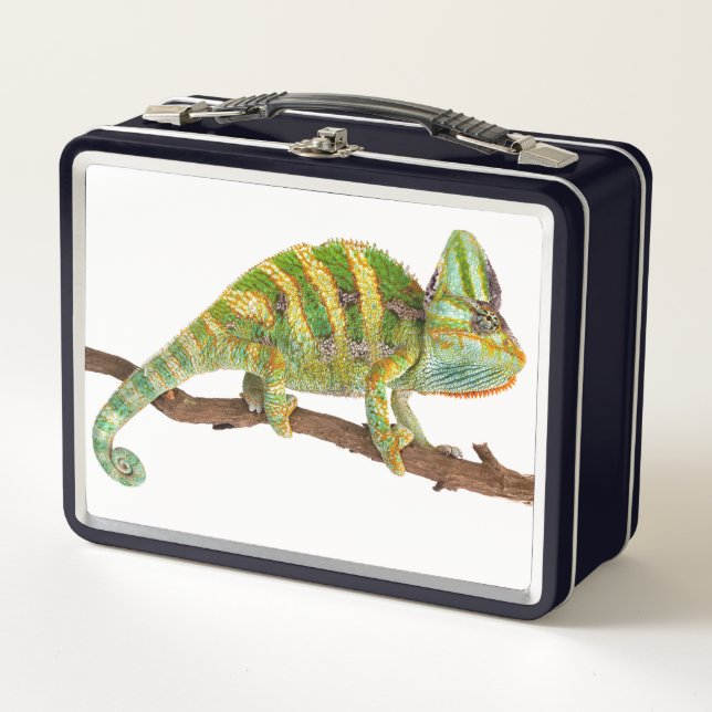 Lunch Box Chameleon (Devant)