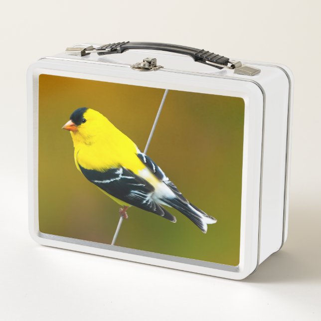 Lunch Box Chardonneret d'Amérique - Photographie originale (Devant)