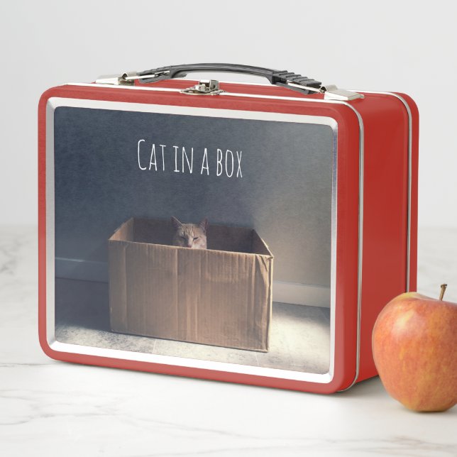 Lunch Box Chat dans une boîte. Le maître du chat Zen. (En situation)