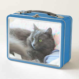 Lunch Box Chat de Nebelung