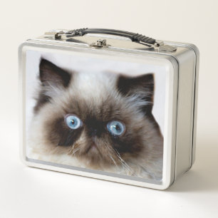 Lunch Box Chat drôle