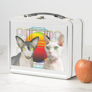 Lunch Box Chat Ninja Devon Rex Casper de Sphynx