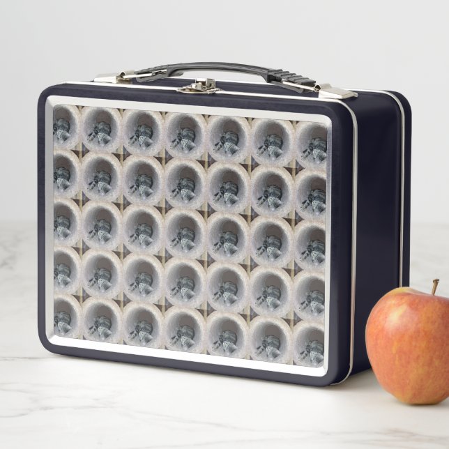 Lunch Box Chat Sleepy Kitty par Shirley Taylor (En situation)