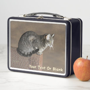 Lunch Box Chat Tabby Gris Fumé