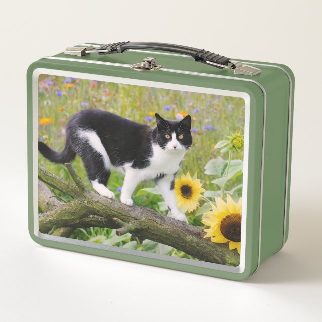 Lunch Box Chat tuxedo mignon sur une branche d'arbre avec de (Devant)