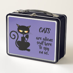 Lunch Box chats