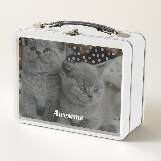 Lunch Box Chats gris mignons (Devant)