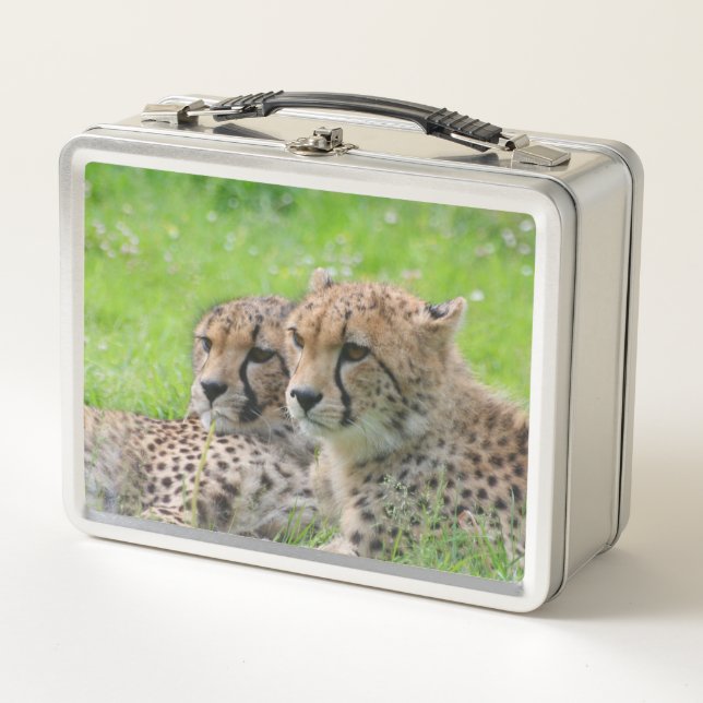 Lunch Box Cheetah 001 (Devant)