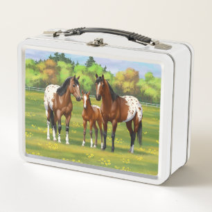 Lunch Box Chevaux Appaloosa De Baie Brown En Pâturage D'Été