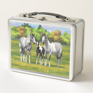 Lunch Box Chevaux De Peinture Gris De Pâte De Poisson En Été
