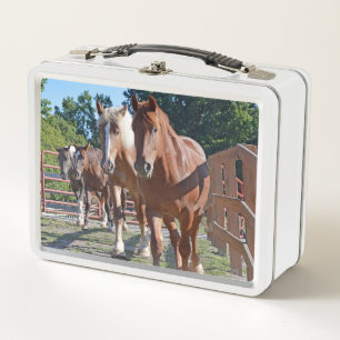 Lunch Box Chevaux dirigés de nouveau à la grange