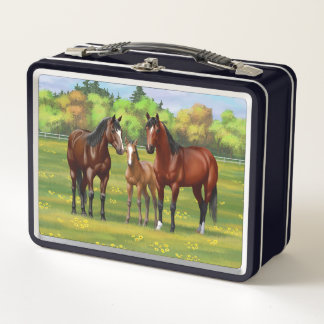 Lunch Box Chevaux Du Quartier De La Baie Brown Dans Les Pâtu